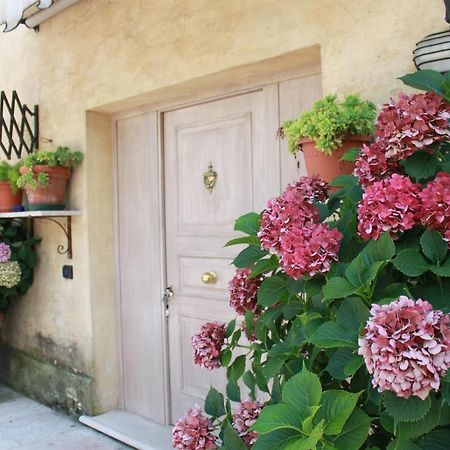 Guest House La Marignana Mogliano Veneto Exterior photo