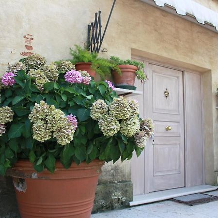 Guest House La Marignana Mogliano Veneto Exterior photo